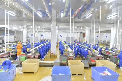 預(yù)制菜飄香！湛江企業(yè)搶抓“雙循環(huán)”萬億市場機遇